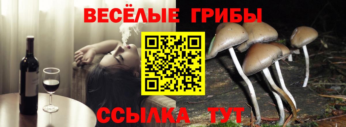 Псилоцибиновые грибы Psilocybe  Вход с VPN  Родники  Псилоцибиновые грибы мицелий 